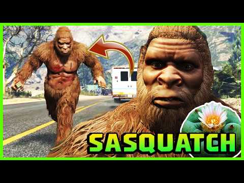 hqdefault-175